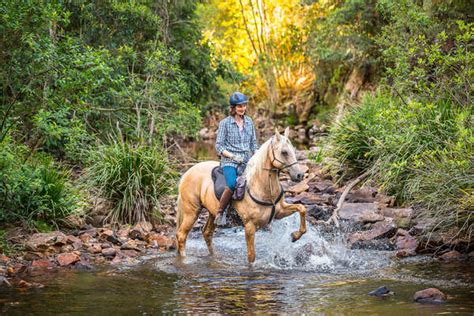 horse trail rides south australia.